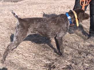 Belle training March 2009